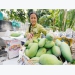 Mango and longan seen fruit specialties in the Southwestern region