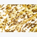 Hy vọng tươi mới cho omega-3 từ thực vật