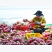 Vietnamese vegetables and fruits are massively exported to Thailand