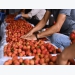 Rising quality requirements hit Vietnam fruit exports to China