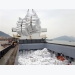 Vietnamese rice exports to EU speed up
