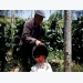 Asia Coffee-Vietnam prices fall for second straight week, Indonesia premiums gain