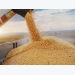 Over US$ 2 billion of corn imports in 9 months
