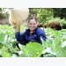Organic agriculture development - Hanoi’s experience