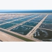 Oman khởi động dự án trang trại nuôi tôm công suất 3.700 tấn/năm
