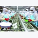 hiep-dinh-rcep-gia-tang-xuat-khau-thuy-san-sang-australia