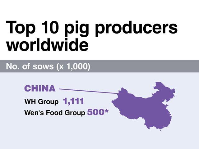 Top 10 công ty nuôi lợn hàng đầu thế giới