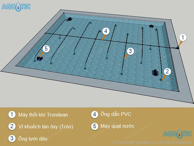 Sục khí đáy ao nuôi tôm