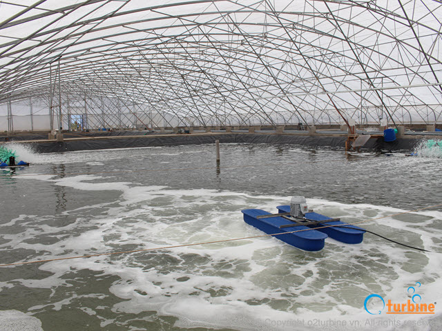O2-Turbine Aerator