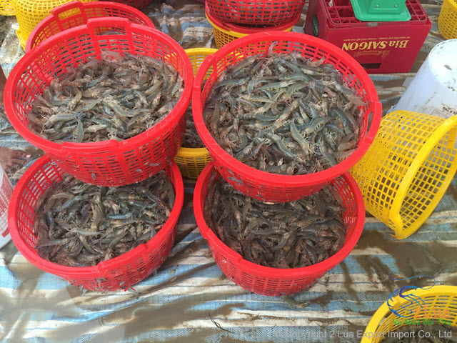 aquaculture farm aeration