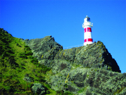 Cape Palliser