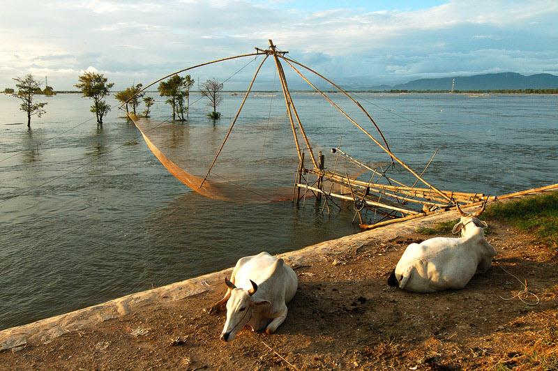 Đồng Tháp Mười