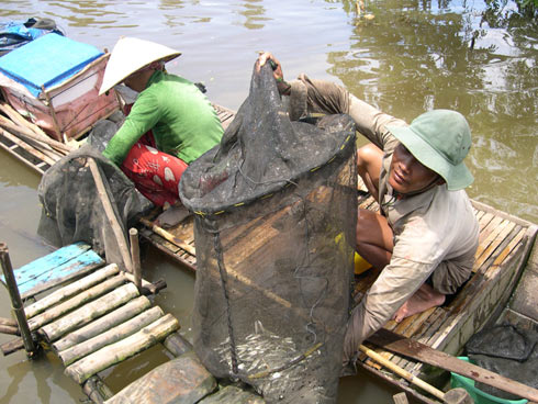 lu lut mien tay 2011