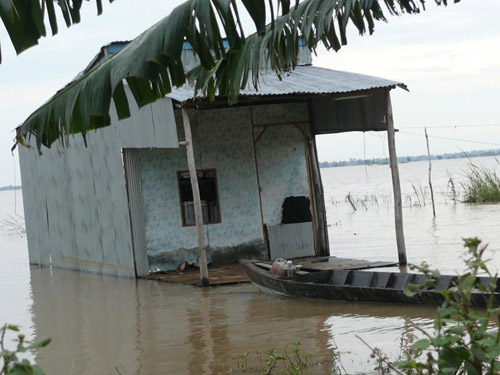 mùa nước nổi 2011
