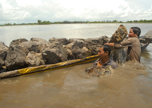 mưu sinh mùa lũ 2011