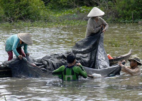 mưu sinh mùa lũ 2011