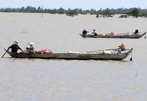 mưu sinh mùa lũ 2011