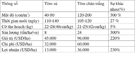 nuoi-tom-the-chan-trang-o-thai-lan